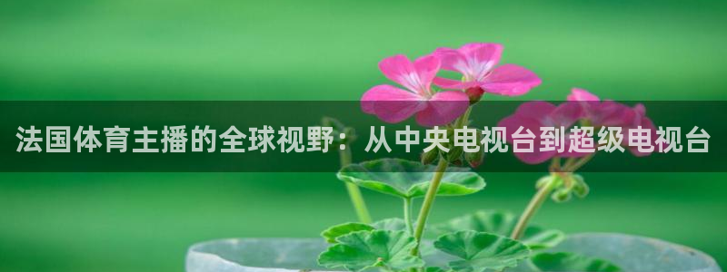 极速体育cba直播：法国体育主播的全球视野：从中央电视台到超级电视台