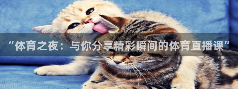 极速直播体育在线观看：“体育之夜：与你分享精彩瞬间的体育直播课”