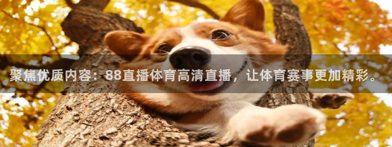 nba直播视频直播在线观看视频极速体育：聚焦优质内容：88直播体育高清直播，让体育赛事更加精彩。